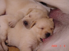 So contented
