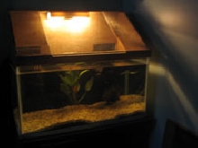 My Tank