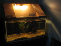My Tank