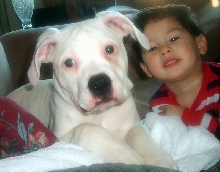Simia and Teddy
