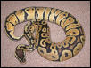 pastel het ghost female
