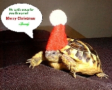 Speedy Christmas