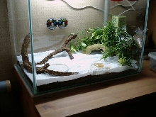 Her new home
