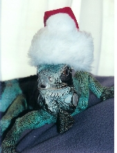 Sebastian With Santa Hat
