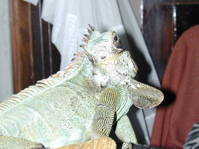 Sebastian Smiling