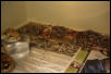 Fake DH litter