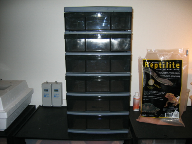 Custom Rack from Target