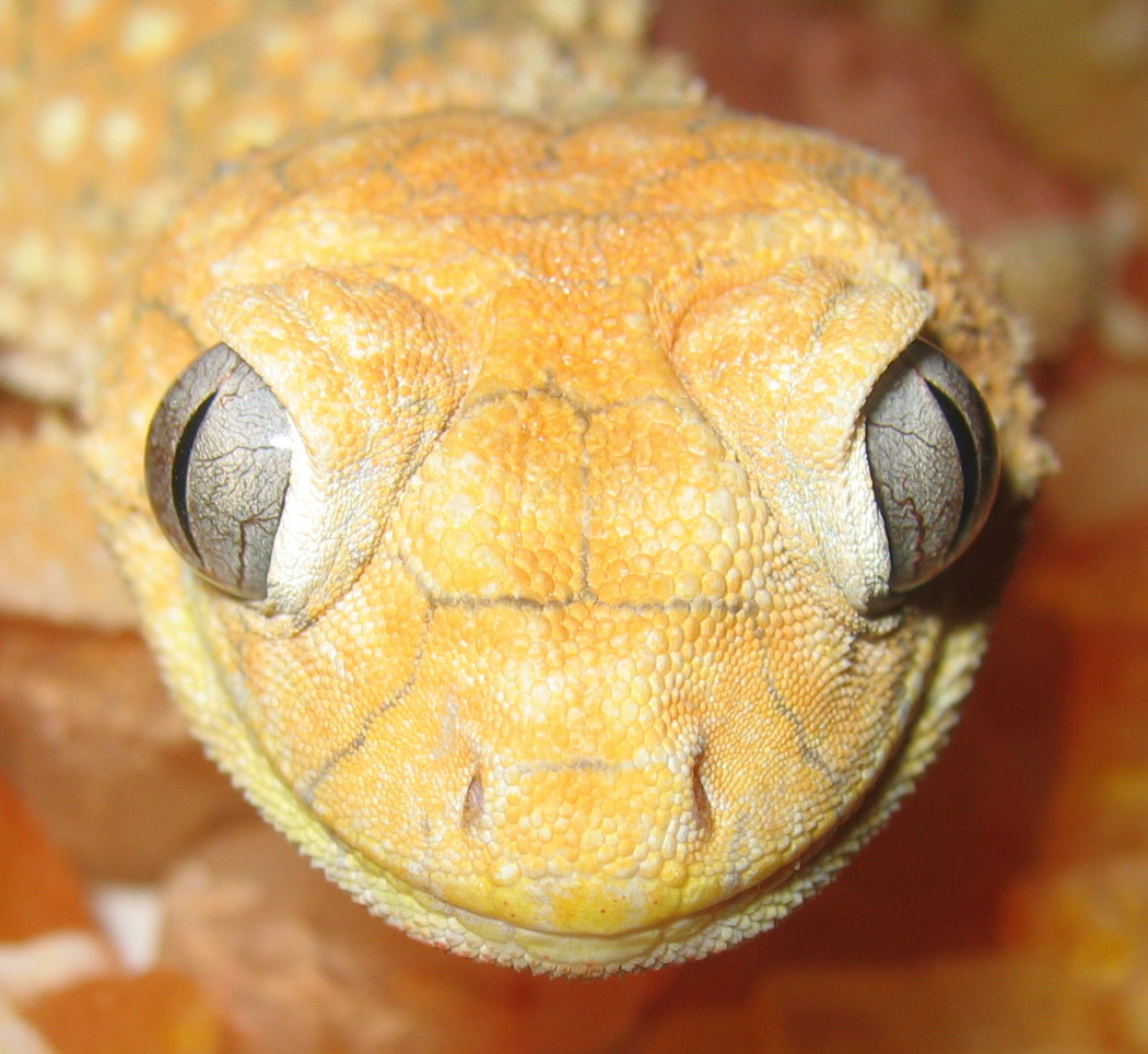 Up Close and Personal Amyae