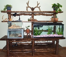 Nature Room Setup