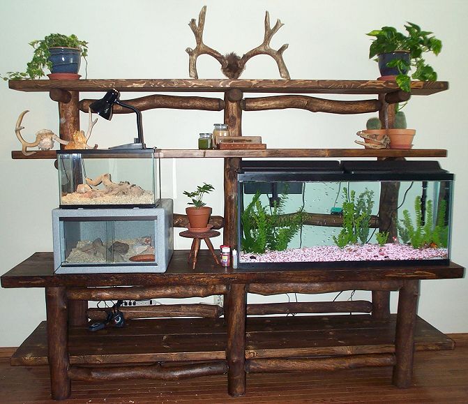 Nature Room Setup