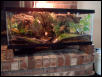 20 Gal. Long Vivarium