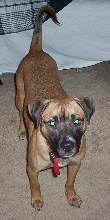 Kaida1