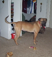 Kaida2