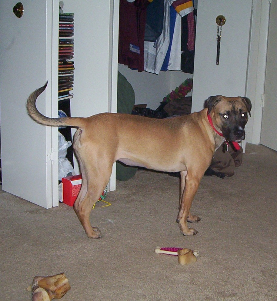 Kaida2