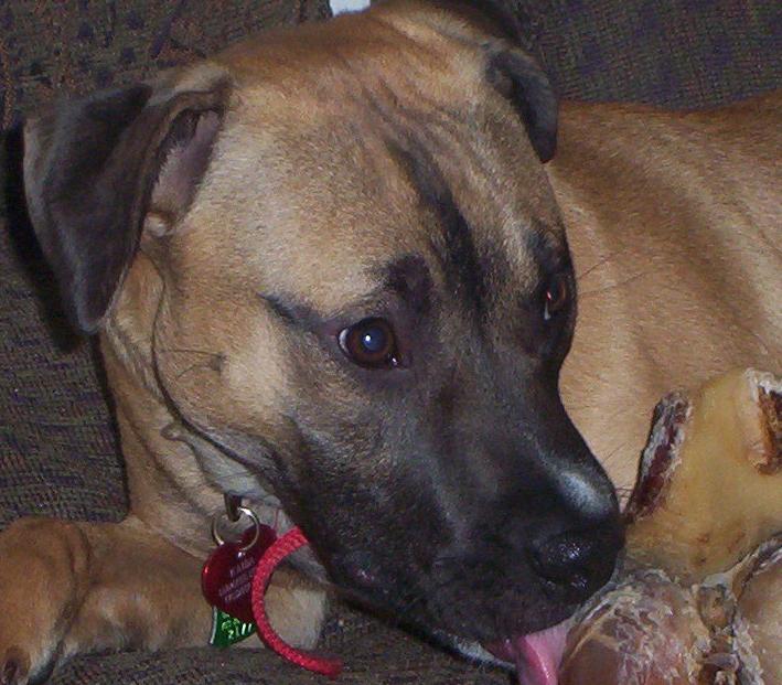 Kaida5