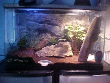 future AFT setup