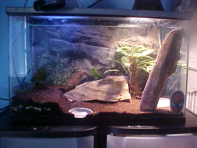 future AFT setup