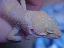 Emma's starting to finally get some head spots!