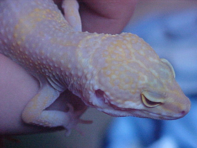 Emma's starting to finally get some head spots!