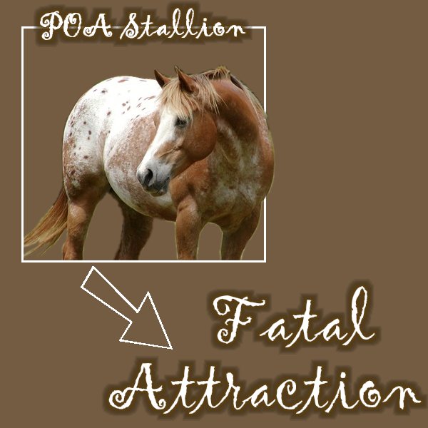 Fatal Attraction