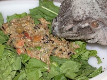Kharma munches