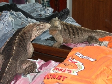 Pete in the mirror