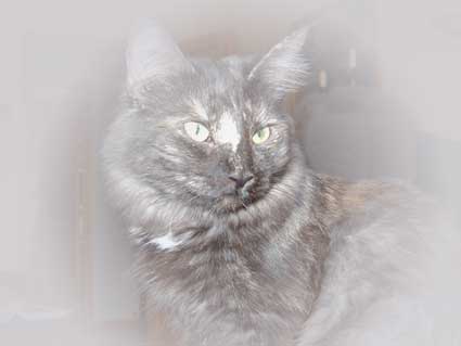 Spooky Ronja