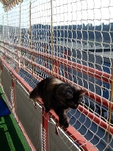 Ronja the adventurer