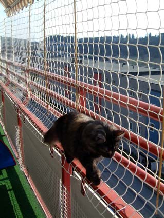 Ronja the adventurer