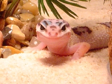 My buddy!