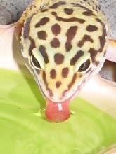 Time for a drink