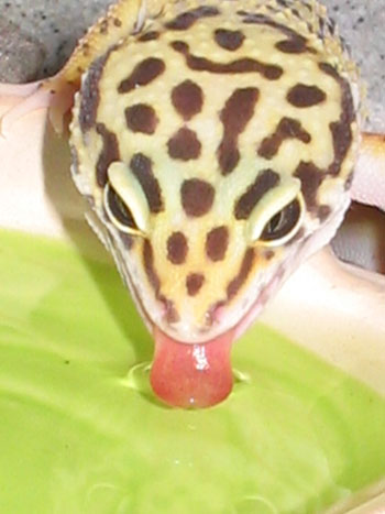 Time for a drink