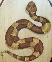 penny