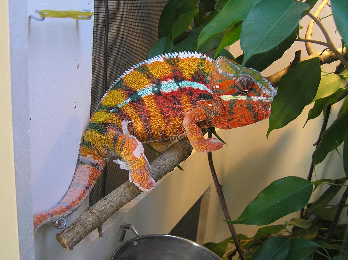 little over a year old diego suarez 2