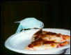 Pizza Fest