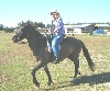 Aggie gaiting
