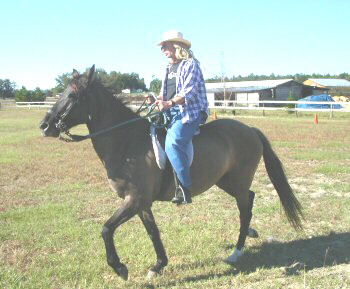 Aggie gaiting