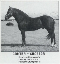 Contra-Sucesor