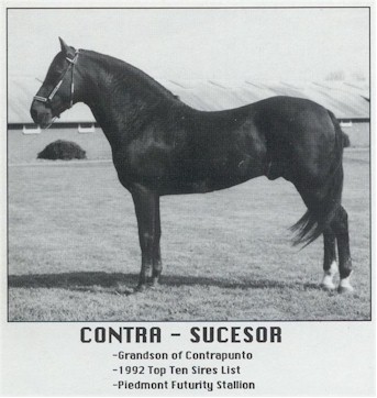 Contra-Sucesor