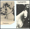 Lunares