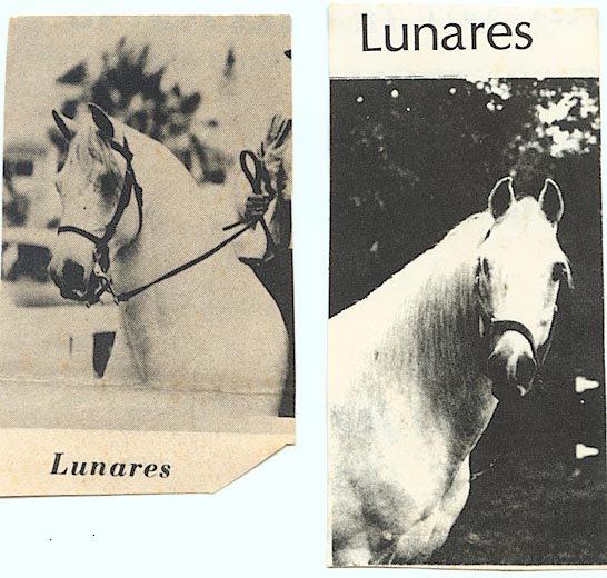 Lunares