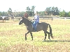Aggie