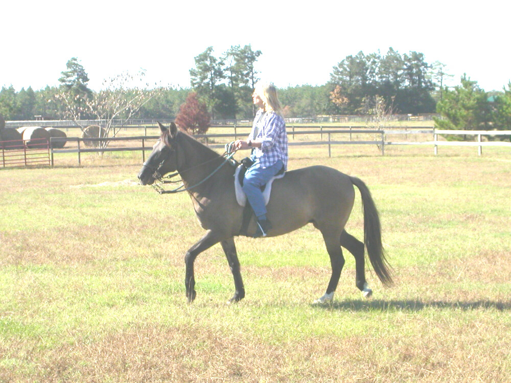 Aggie