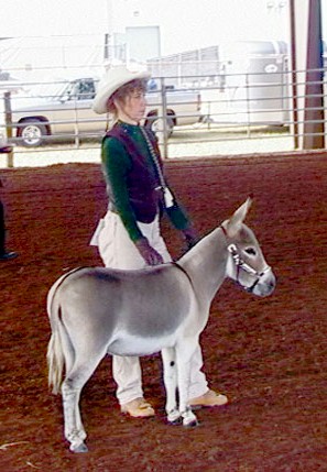 Grulla!