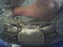 cant really see the colors he is getting
