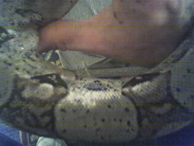 cant really see the colors he is getting