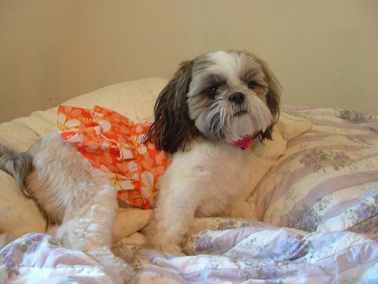 orange Hawaiian dress