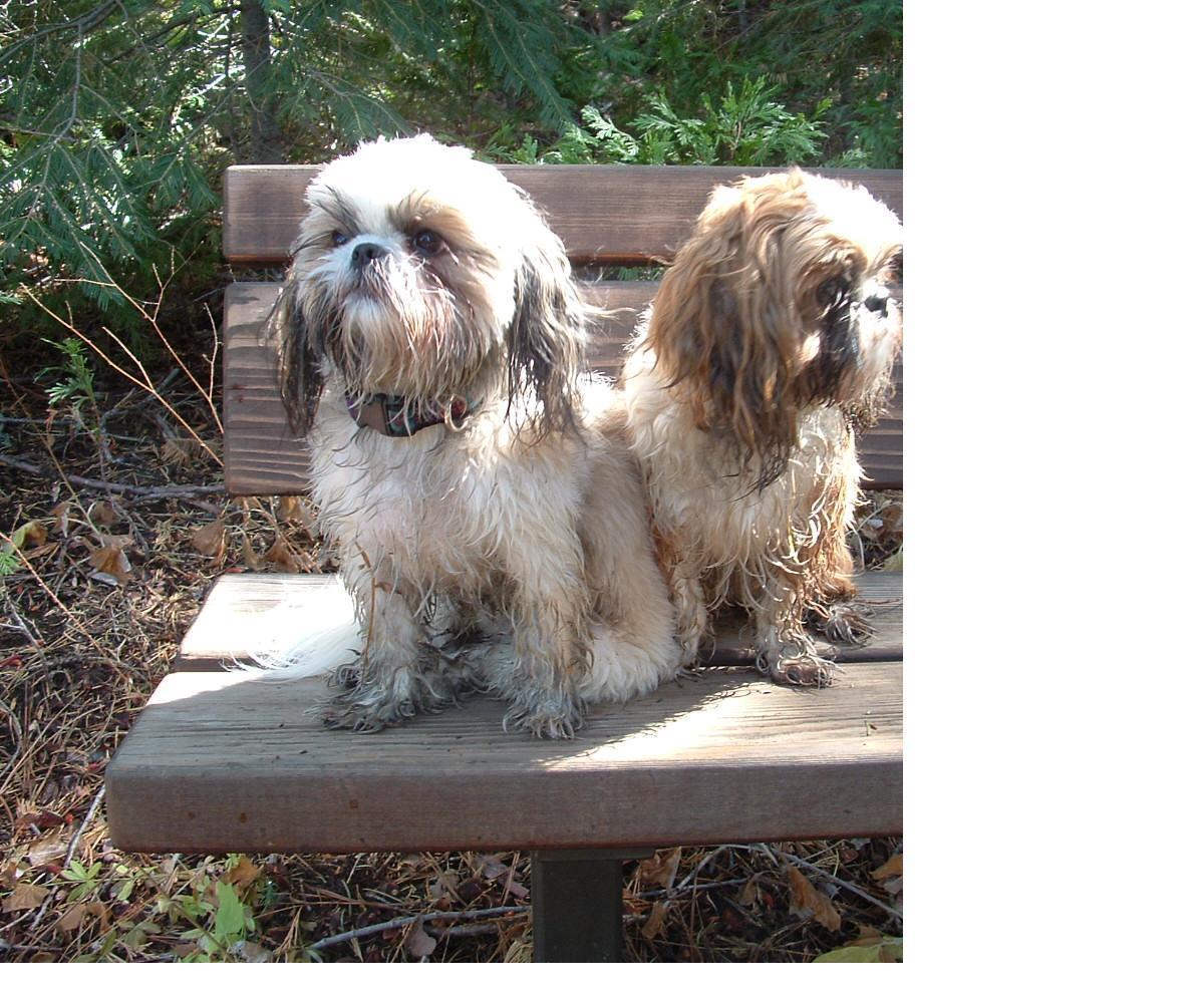 after river frolicking