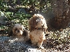 Pip and Suk diggin  the mountains