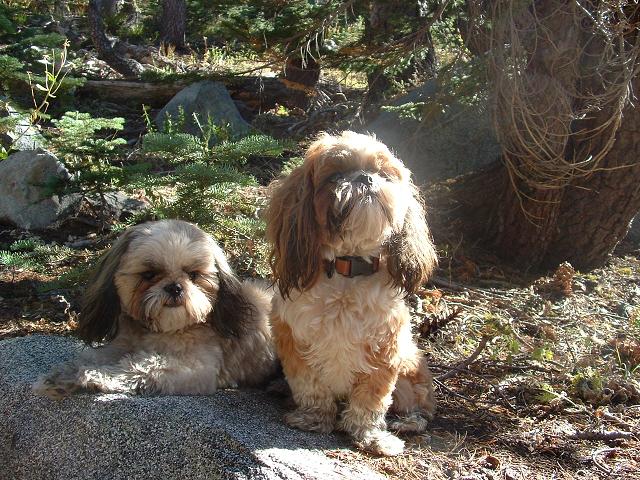 Pip and Suk diggin  the mountains